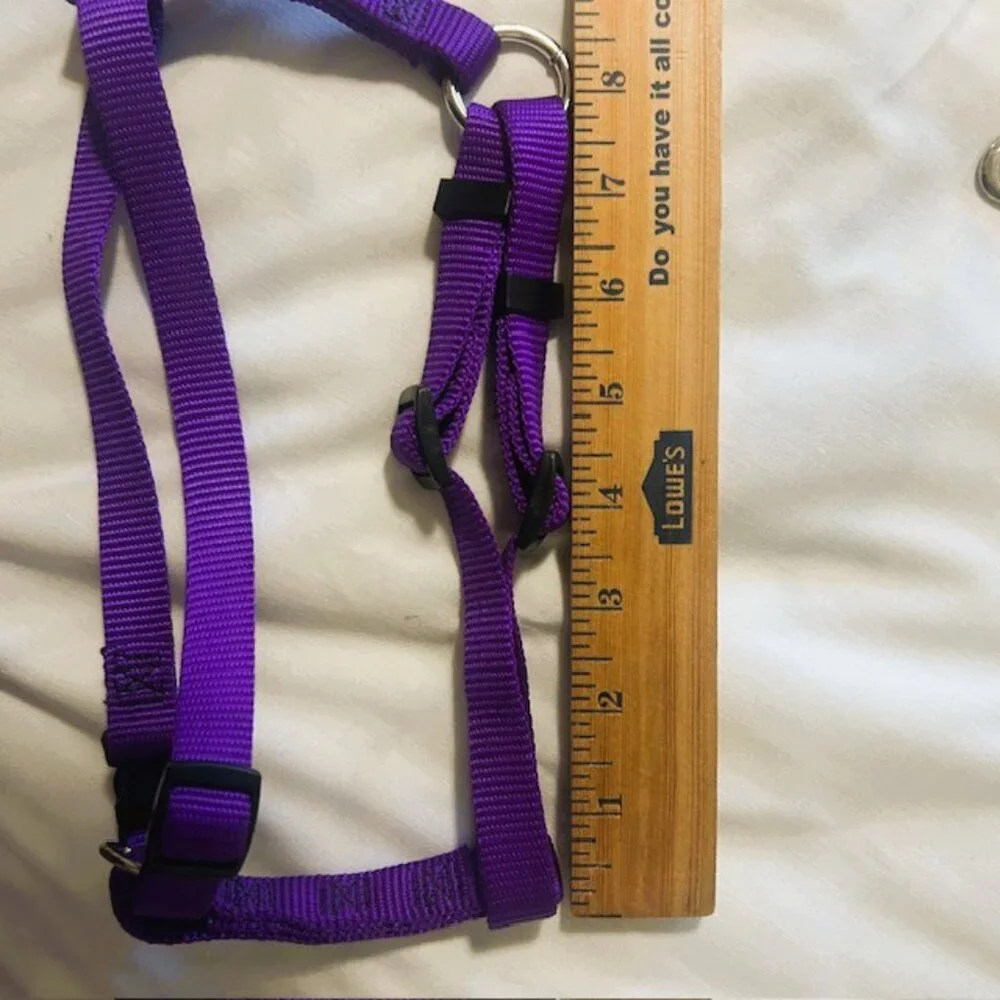 Dog Harness and Leash Unbranded Purple Medium Adjustable